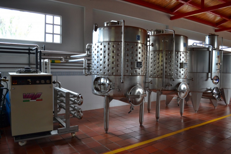 cave-MENTON-min_wine_production_cantine_winery_drink_alcohol_vine_beverage-902036